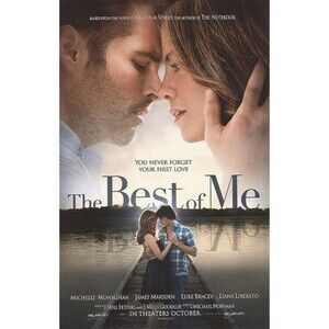 THE BEST OF ME Original Advance Theatrical Movie Poster 11x17 Relativity 2014